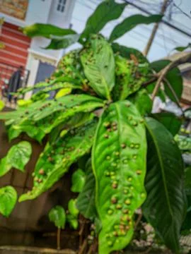 Abstract Background Stock Photos