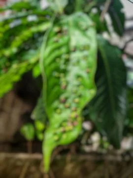 Abstract Background 스톡 사진