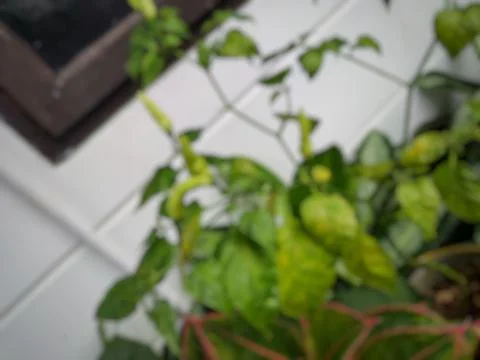 Abstract Background Stock Photos