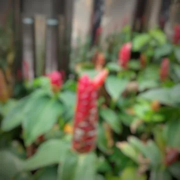 Abstract Background 스톡 사진