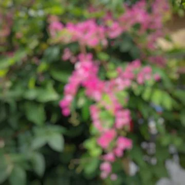 Abstract Background Stock Photos