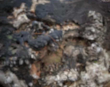 Abstract Background Stock Photos