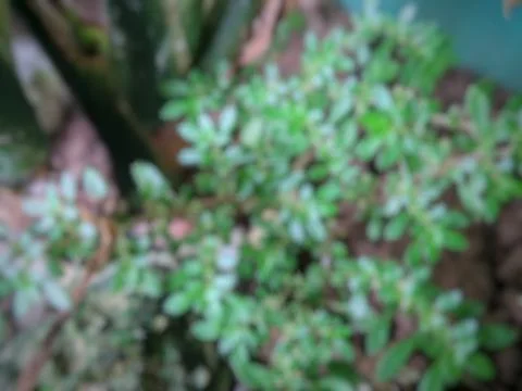 Abstract Background 스톡 사진