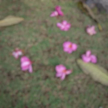 Abstract Background 스톡 사진