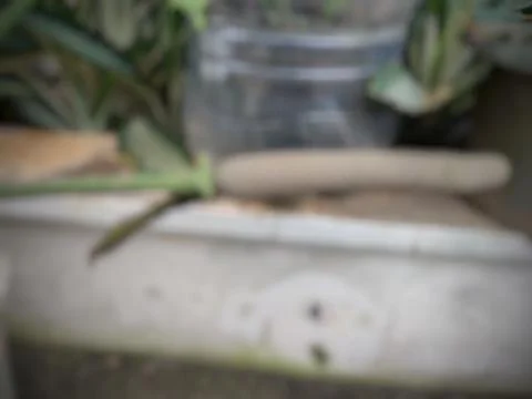 Abstract Background Stock Photos