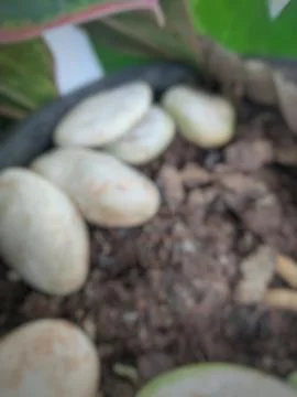 Abstract Background 스톡 사진