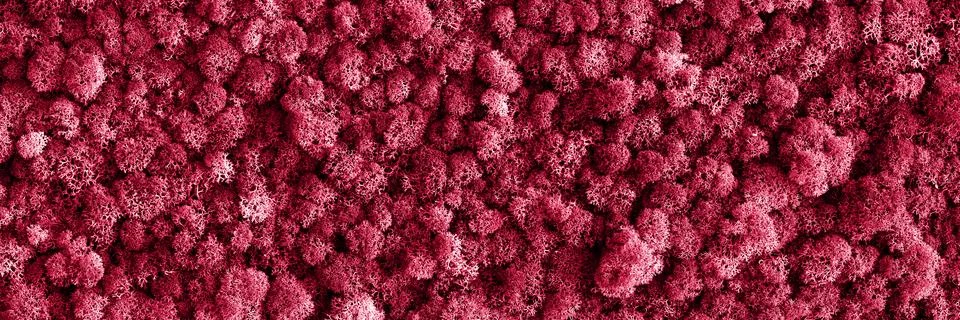 Abstract background Stock Photos