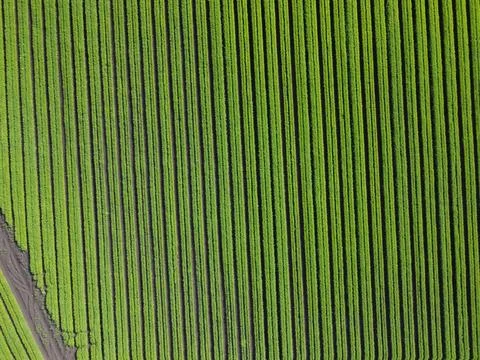 Abstract background Stock Photos