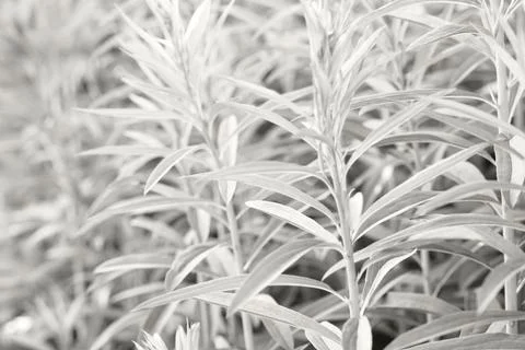 Abstract background Stock Photos