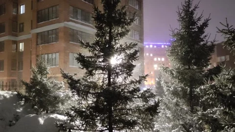 Abstract background. Pine trees covered snow. Stock Footage 301790708