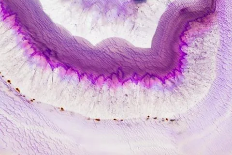 Abstract background, pink agate slice mineral Stock Photos