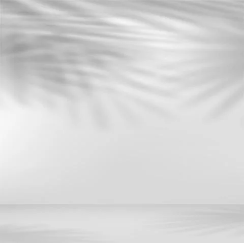 Abstract background for presentation with shadow of leaves. Vector illustrati Stock Illustration