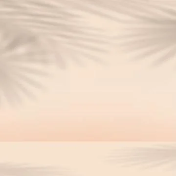 Abstract background for presentation with shadow of leaves. Vector illustrati Stock Illustration