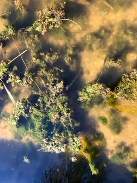 Abstract background in a puddle. Stock Photos