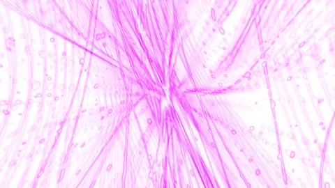 Abstract background of purple curves Stock Footage 261873722