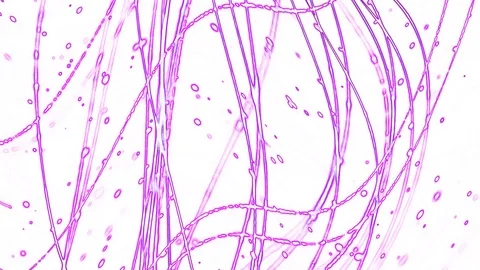 Abstract background of purple curves on white 库存影片 127123953