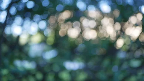Abstract background, radiance and blur of light spots. Stock Footage 90443012