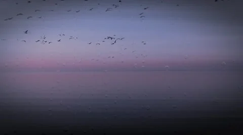 Abstract background with rain drops Stock-Footage 40611212