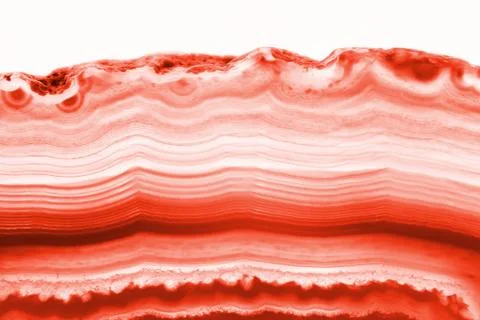Abstract background - red agate cross section slice mineral isolated on white Stock Photos