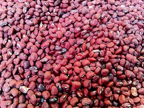 Abstract background from red bean kernels. Foto stock