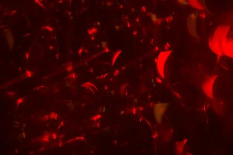 Abstract background red bokeh circles. Beautiful background with particles. T Stock Photos