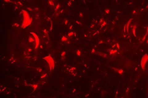 Abstract background red bokeh circles. Beautiful background with particles. T Stock Photos