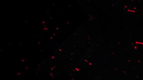 Abstract background in red color, background with movement and blur Stock Footage 255135321