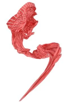 Abstract background of red wavy silk or satin with metal stripes. 3d renderin Stock Illustration