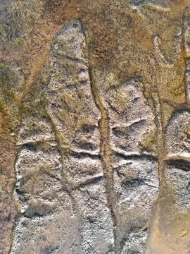 An abstract background of rock surface at a beach. Stock Photos