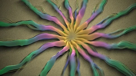 Abstract Background Rotating Organic Form 15 Stock Footage 97805727