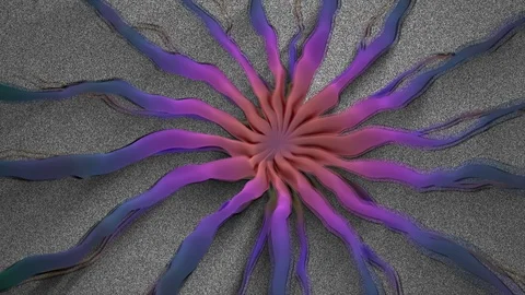 Abstract Background Rotating Organic Form 19 Stock Footage 97806296