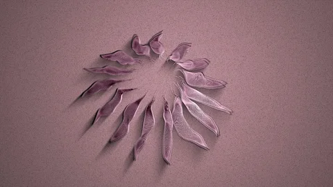 Abstract Background Rotating Segmented Organic Form 25 Stock-Footage 97609615