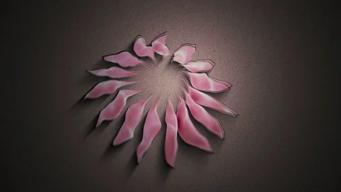 Abstract Background Rotating Segmented Organic Form 12 Stock Footage 97610641