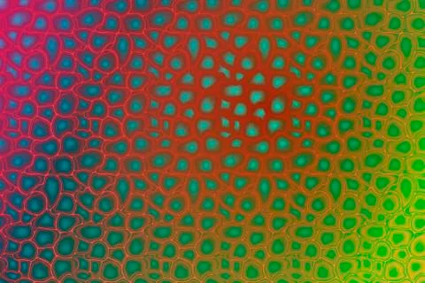 Abstract background. Scales, bubbles, leather, gradient. Red, Green 스톡 일러스트