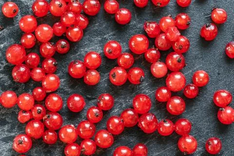 Abstract background with scattered red currant berries on a dark gray backdro Stock Photos