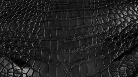 Abstract background of seamless crocodile black leather texture Stock Footage 139723254