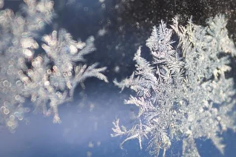 An abstract background with selective focus on ice crystals Stock Photos