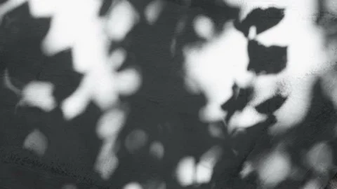Abstract background with shadow and sunlight and moving spots on a surface. Stock Footage 203932323