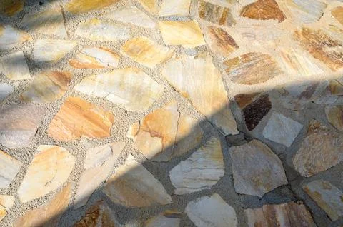 Abstract background with shadows of plants. Stock Photos