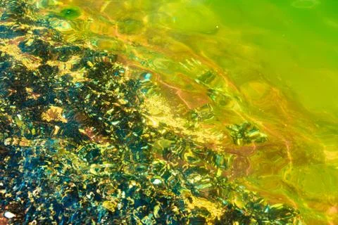 Abstract background. Shells in water Foto stock