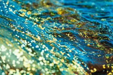 Abstract background. Shells in water Stock Photos