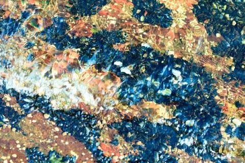Abstract background. Shells in water Stock Photos