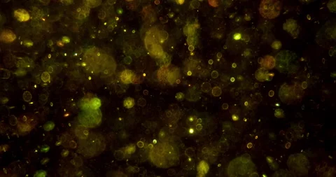 Abstract background with shining bokeh sparkles. Stock Footage 249616393