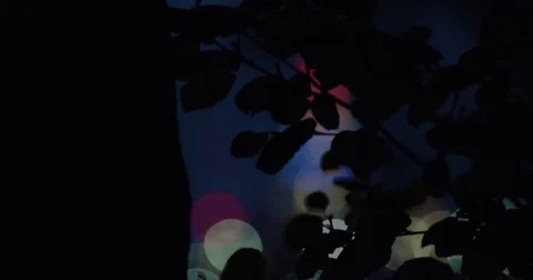 An abstract background of silhouetted trees and out of focus lights - 4k Stock Footage 70204816