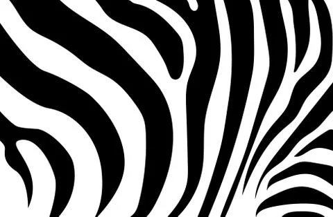 Abstract background skin of a zebra, white and black color. Wild Animals. Stock Illustration