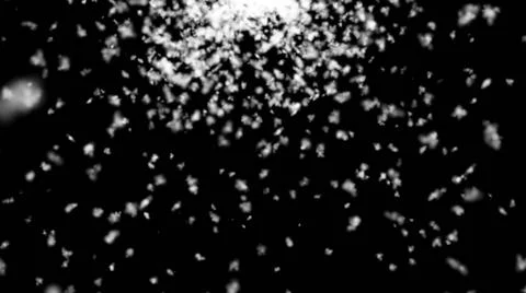 Abstract background with snow on black backdrop Abstract background with s... Stock Photos