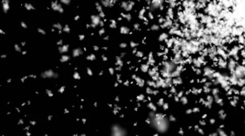 Abstract background with snow on black backdrop Abstract background with s... Stock Photos