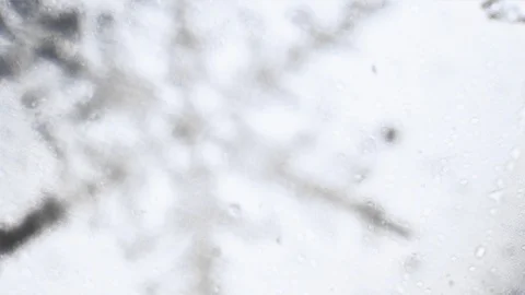 Abstract background from snowflake crystal that appears from blurred image Stock Footage 98493297