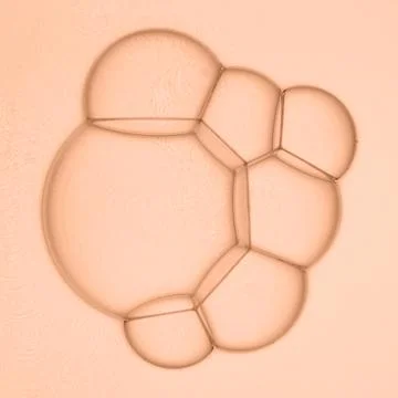 Abstract background of soap bubble on peach background Stock Photos