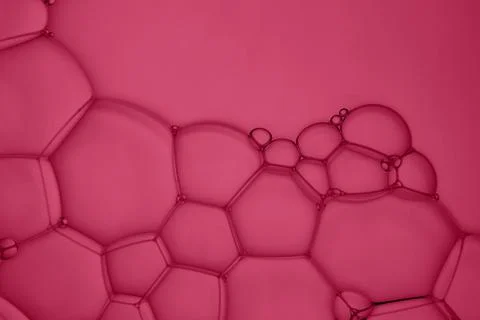 Abstract background of soap bubbles on deep red background Stock Photos